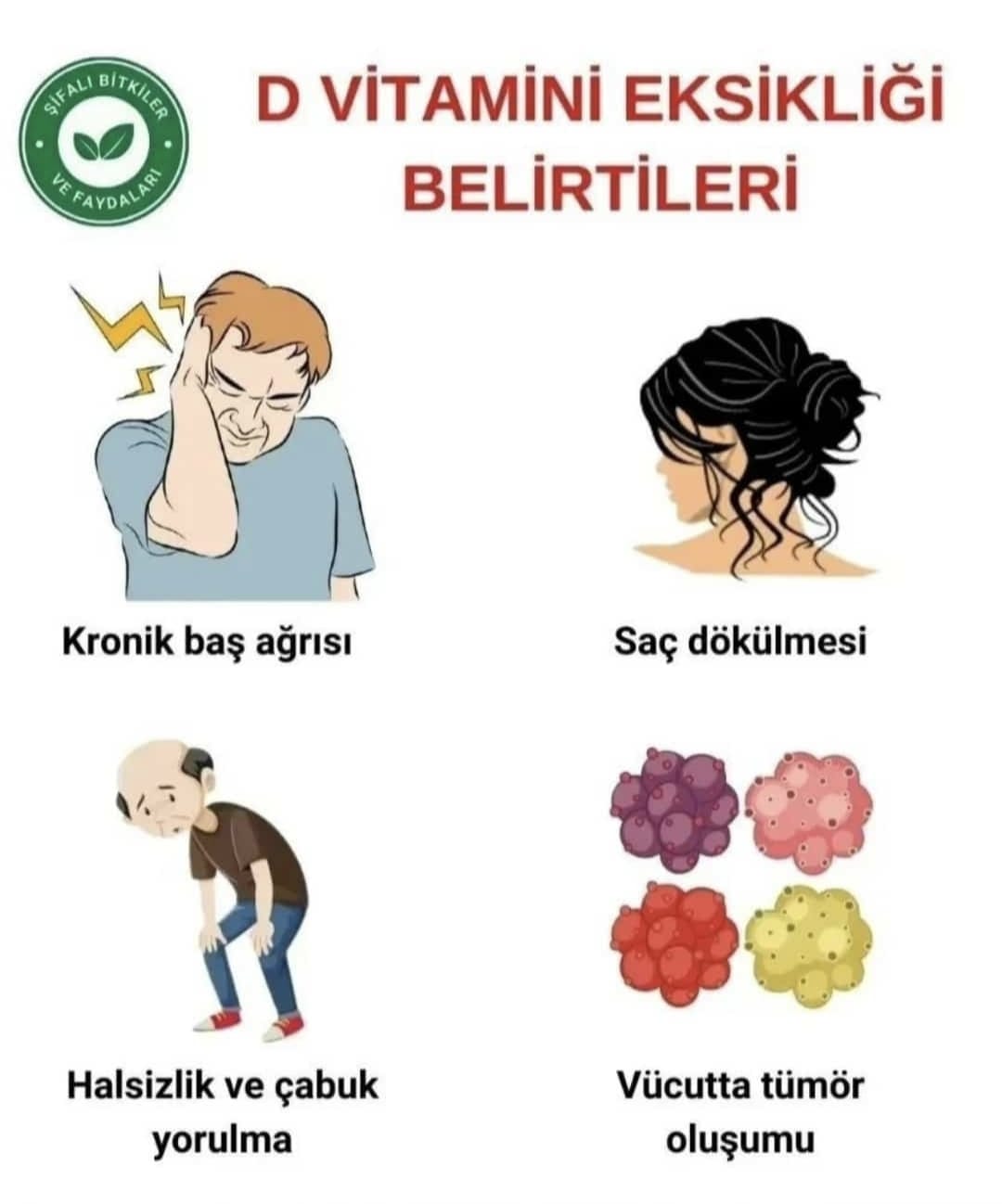 Spirulina Kapsül Bilgisi